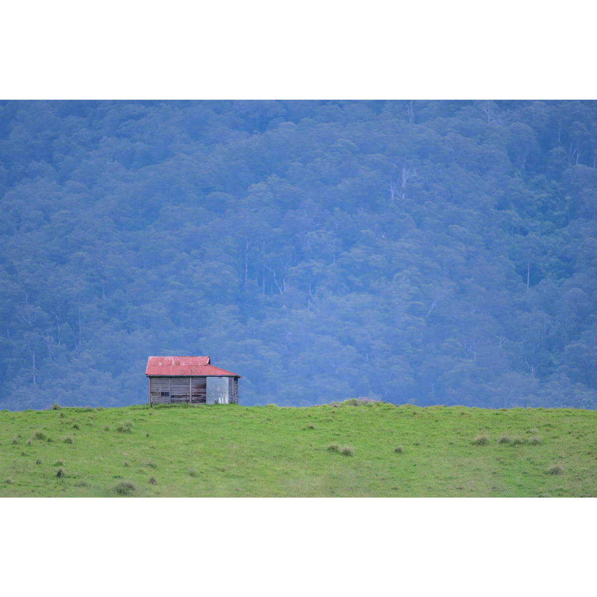 Brown Mountain Backdrop | The Dairy Fine Art Print - Lost Collective Shop