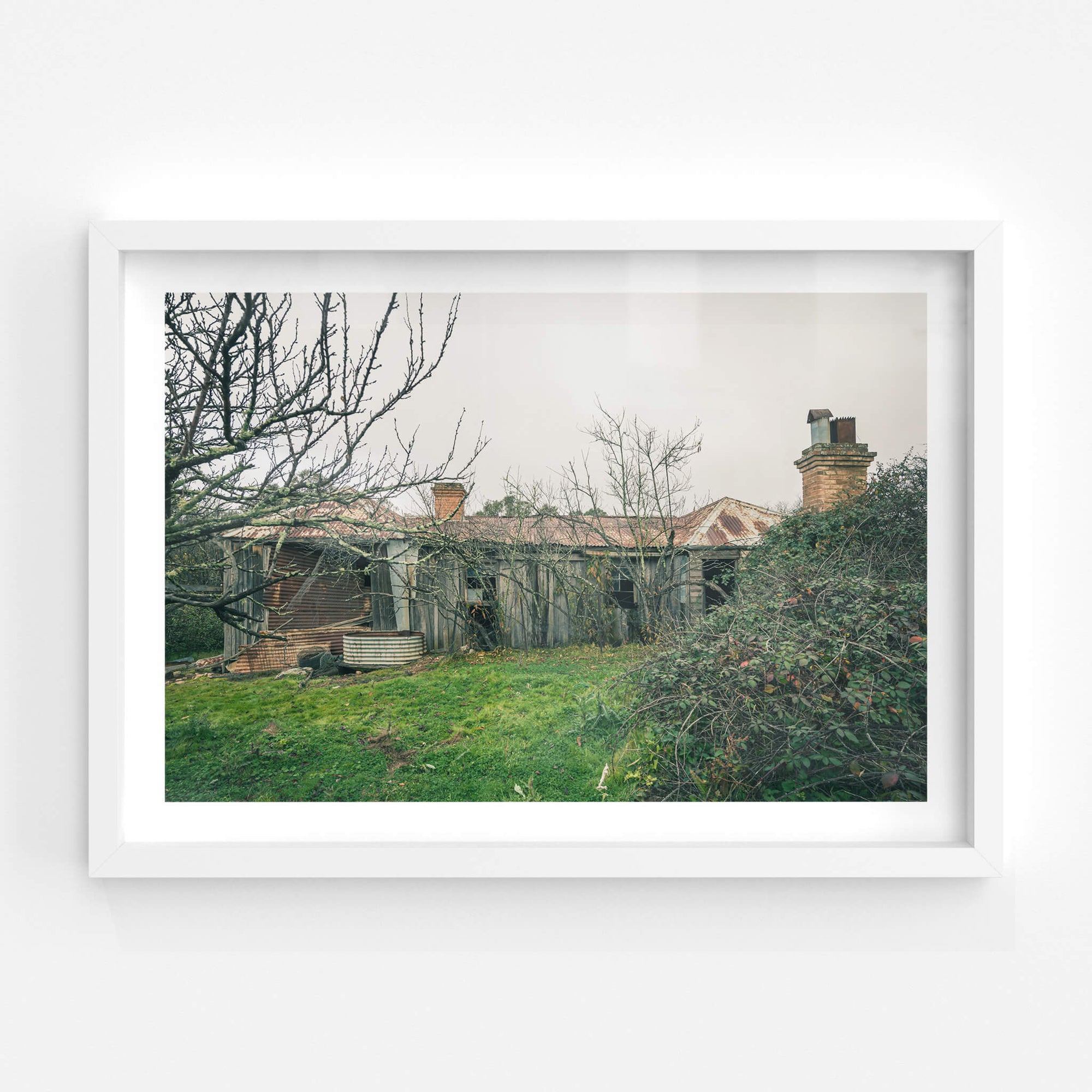 Backyard | The Post Office