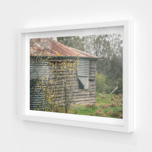 white frame