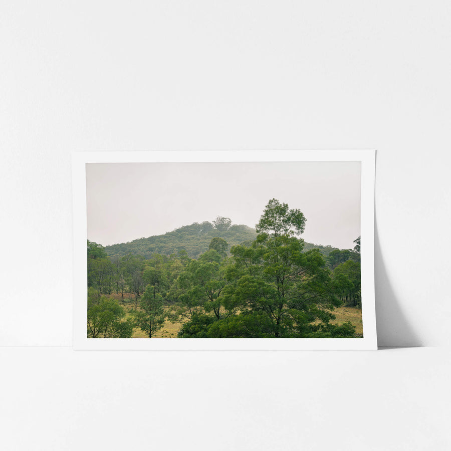 The Big Hill at The Post Office, a low hill rises through haze, its slopes thick with eucalyptus canopy.