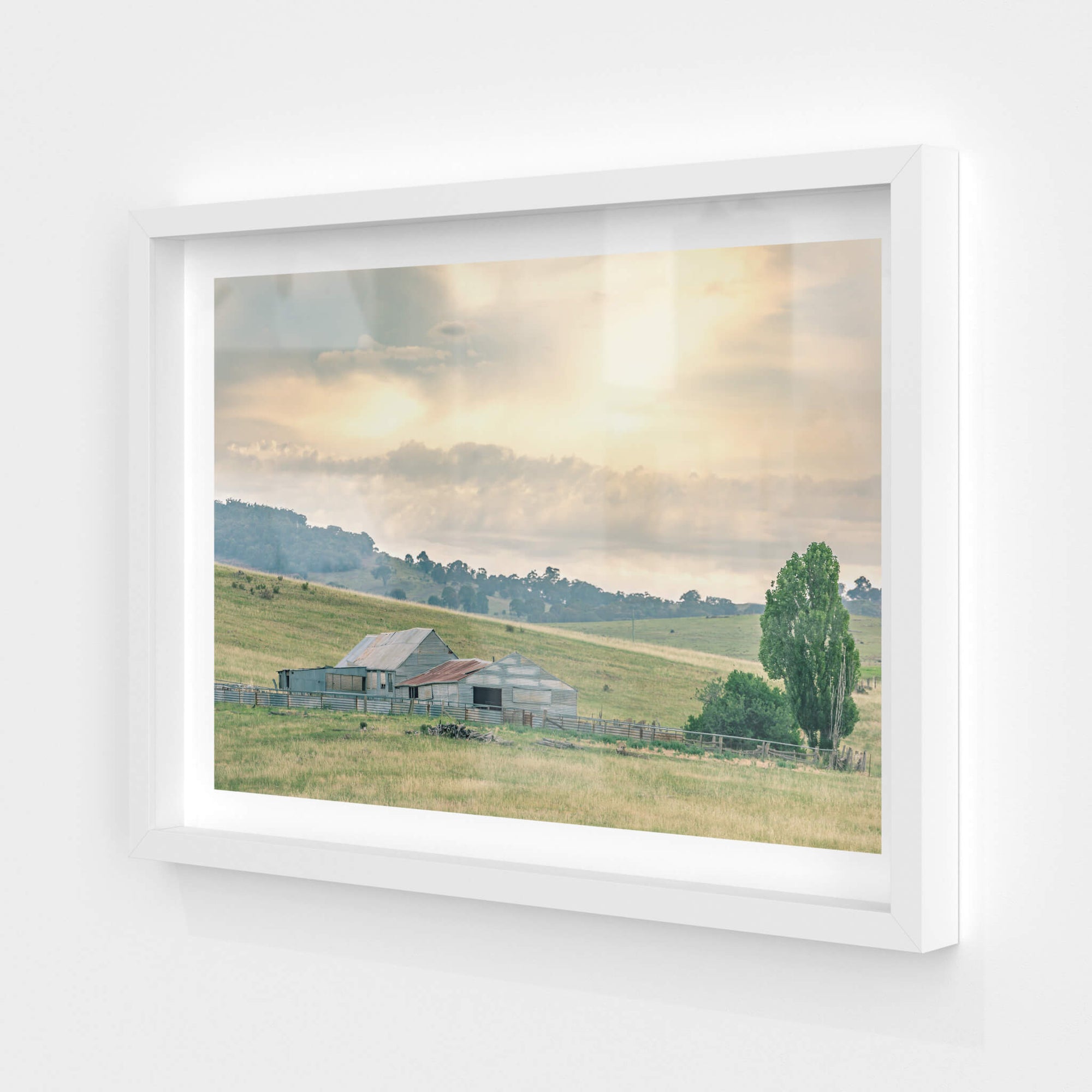 Beloka Woolshed | The Woolshed Fine Art Print - Lost Collective Shop