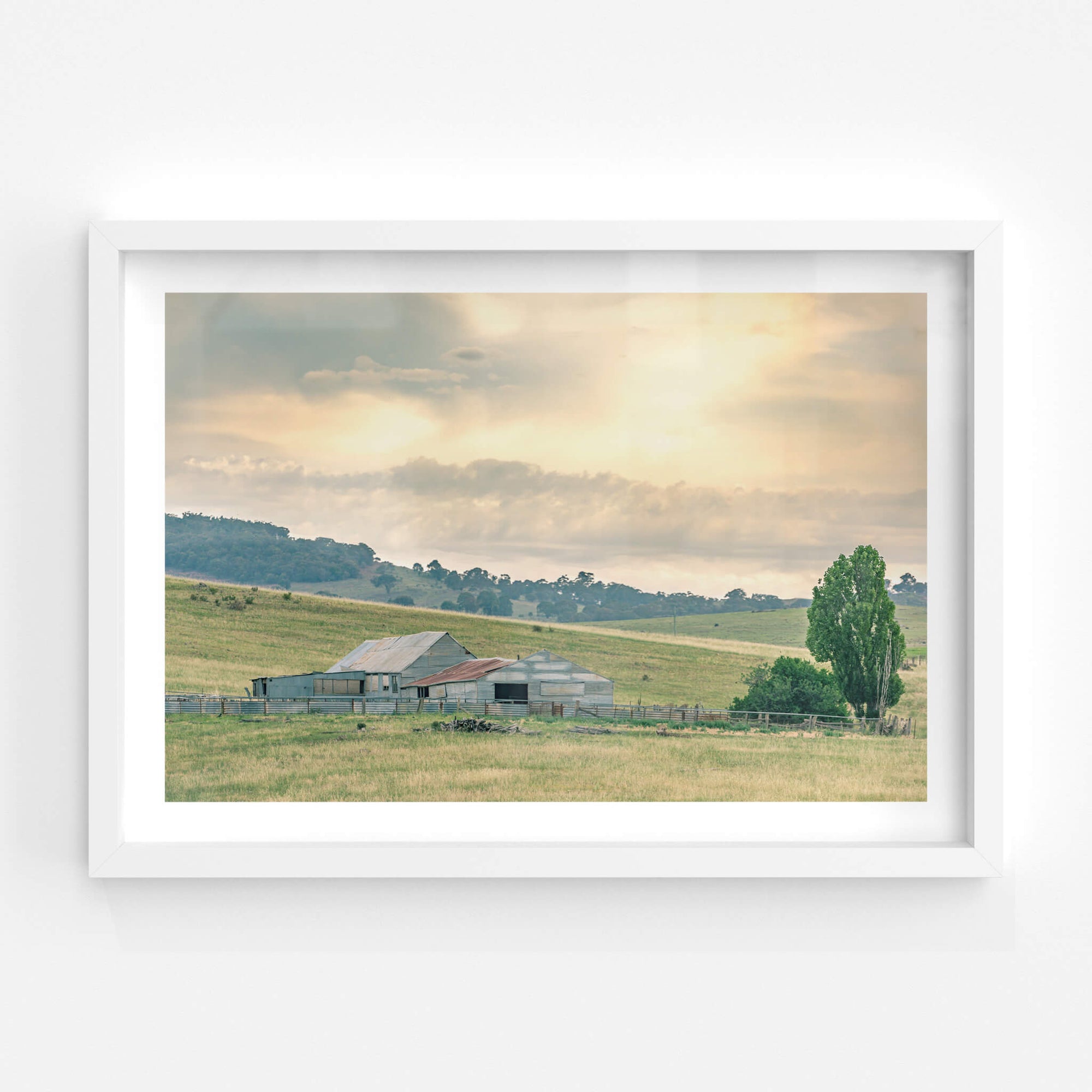 Beloka Woolshed | The Woolshed Fine Art Print - Lost Collective Shop