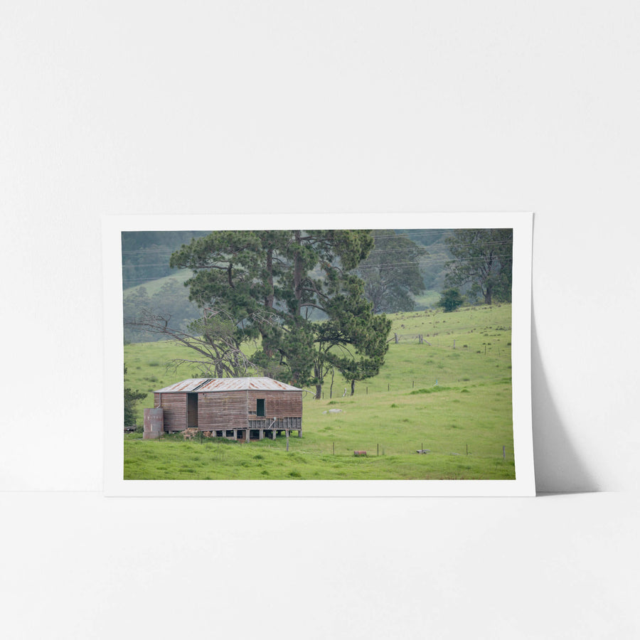 Bemboka Woolshed at The Woolshed, a weatherboard woolshed sits on low timber stumps against a slope of green pasture.
