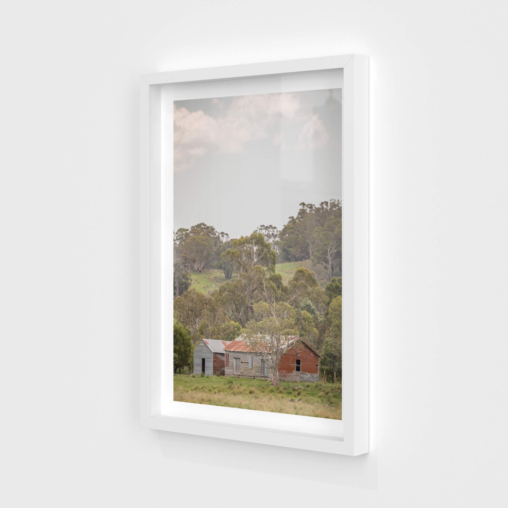 Cathcart Woolshed | The Woolshed Fine Art Print - Lost Collective Shop