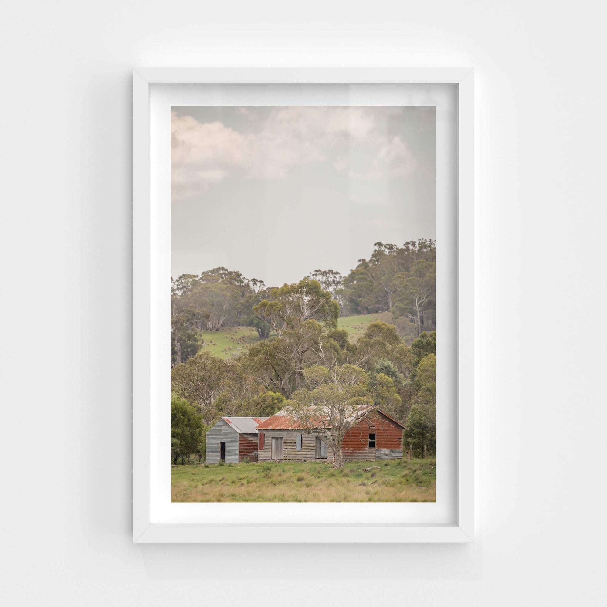 Cathcart Woolshed | The Woolshed Fine Art Print - Lost Collective Shop