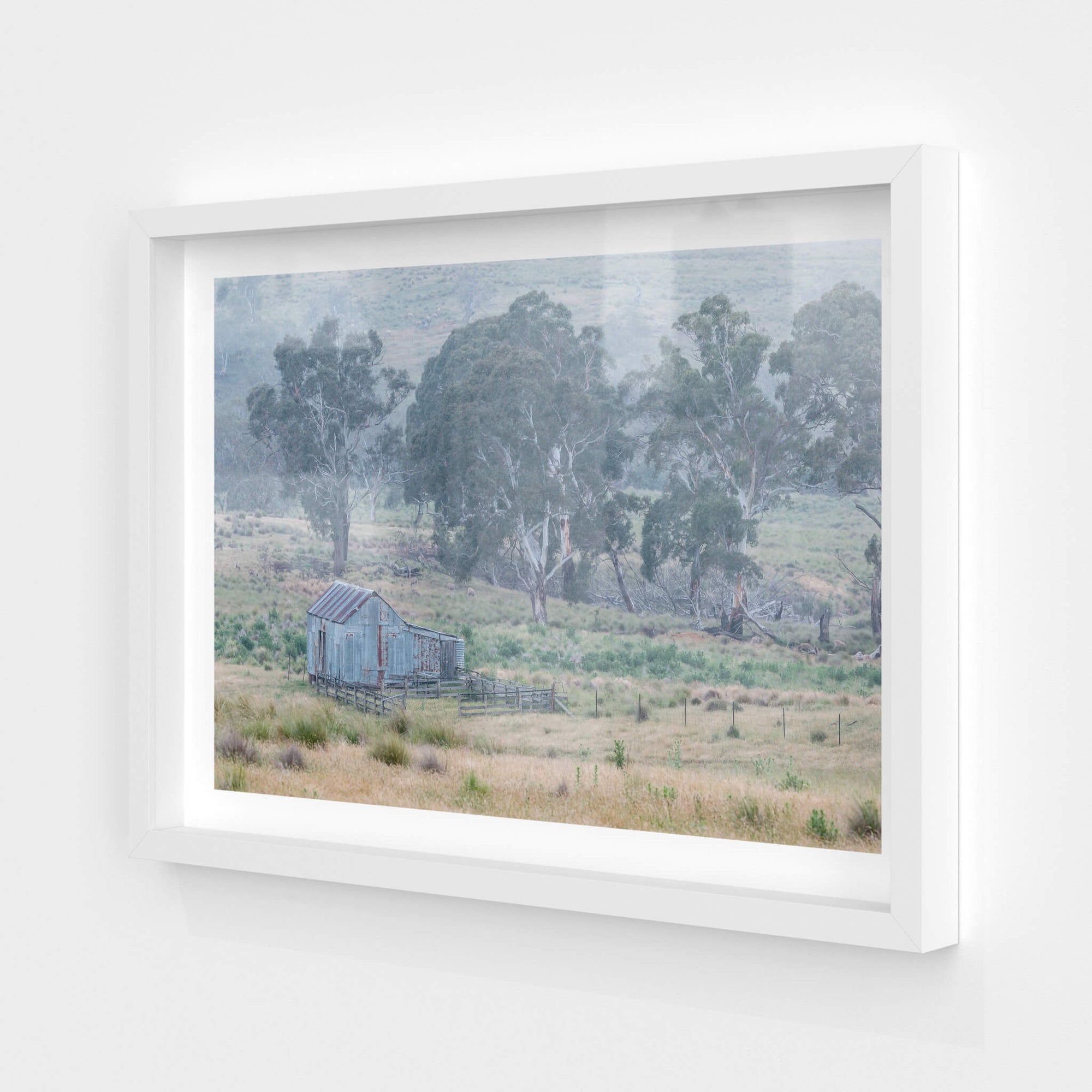 Crutching Shed in the Wet | The Woolshed Fine Art Print - Lost Collective Shop