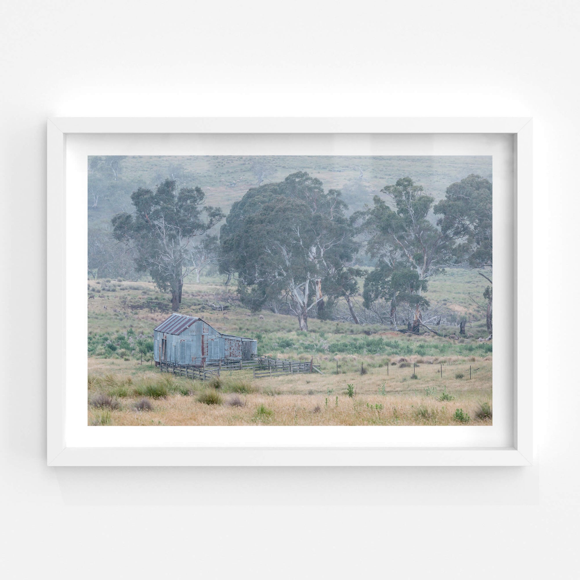 Crutching Shed in the Wet | The Woolshed Fine Art Print - Lost Collective Shop