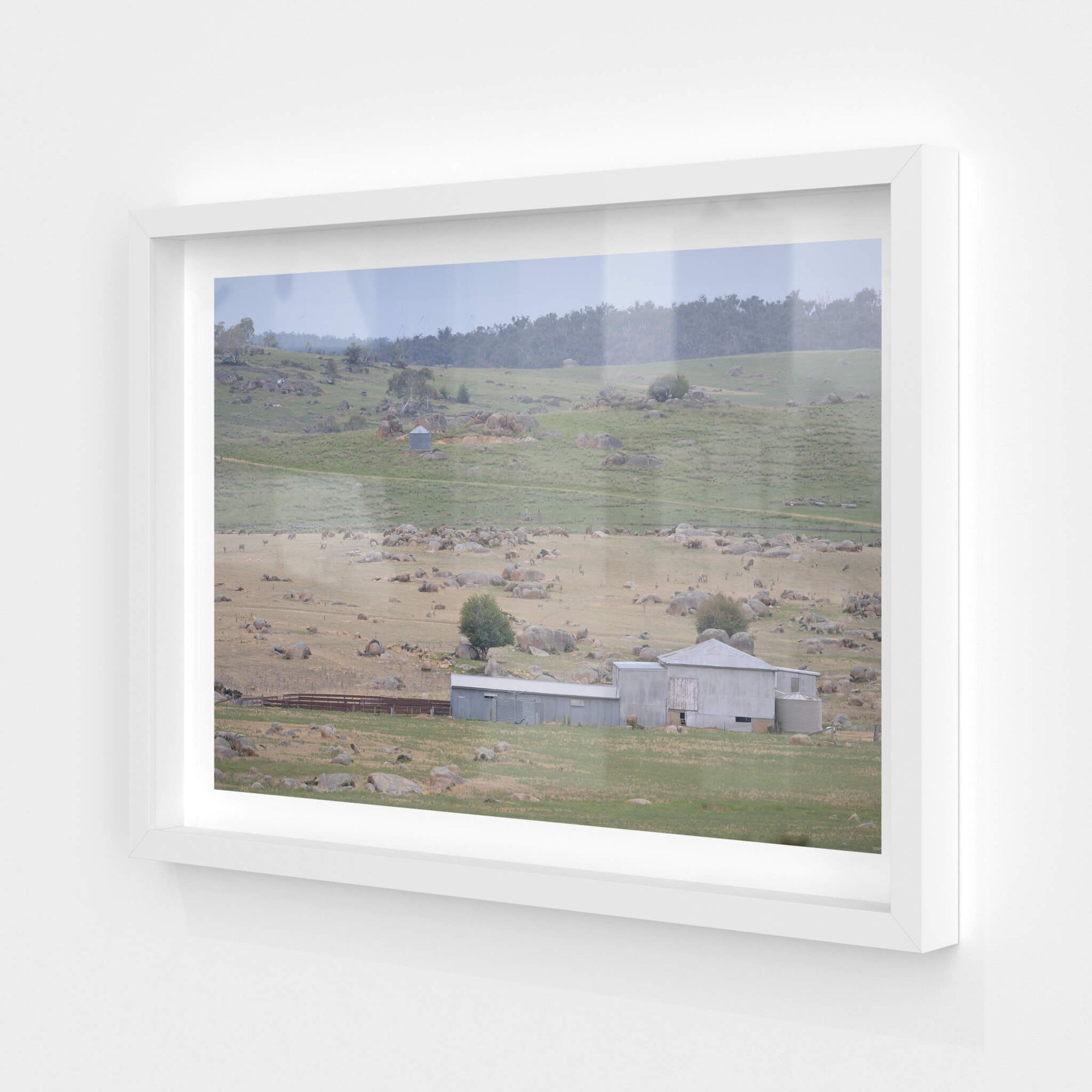 Dalgety Woolshed | The Woolshed Fine Art Print - Lost Collective Shop