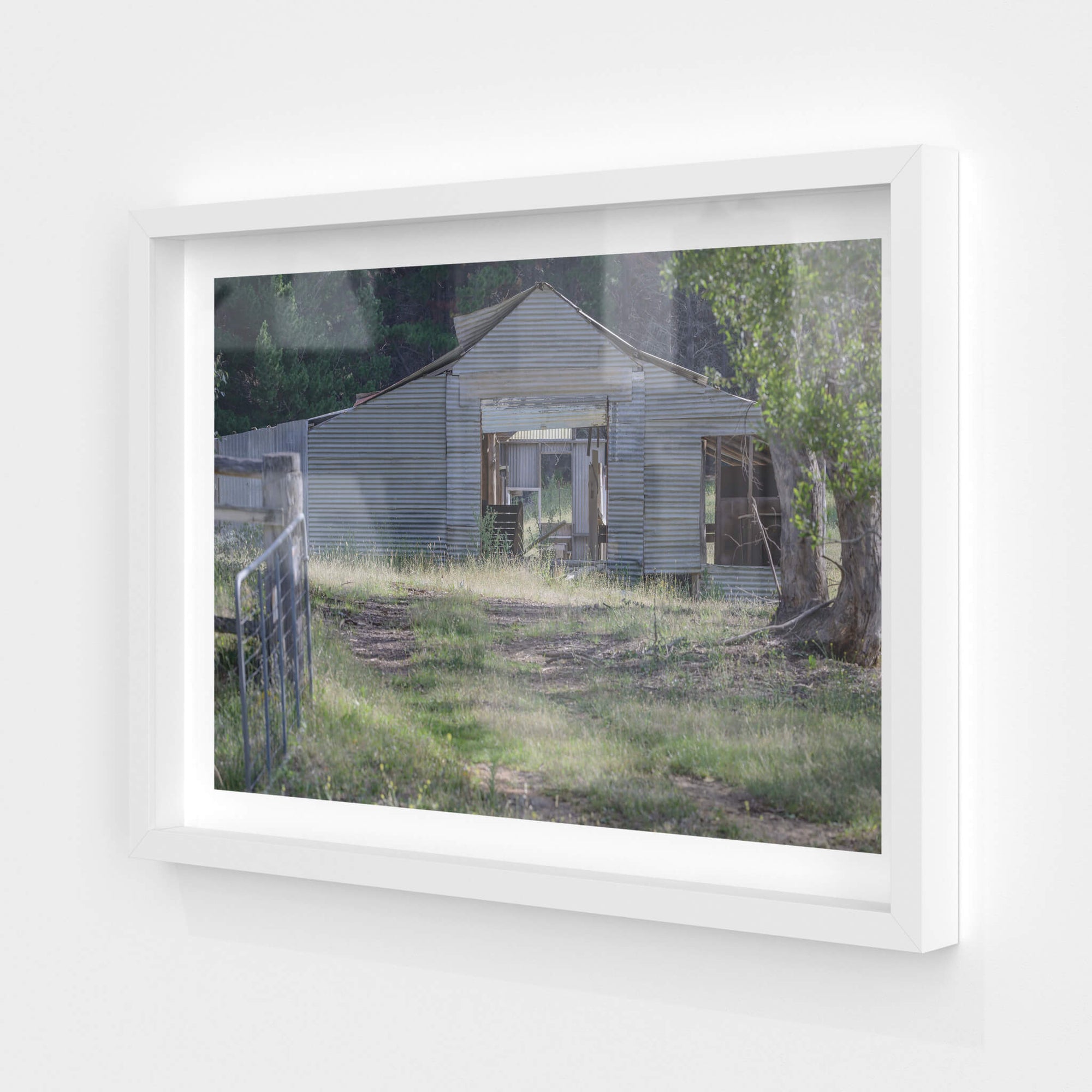 Deddick Valley Ruined Shed | The Woolshed