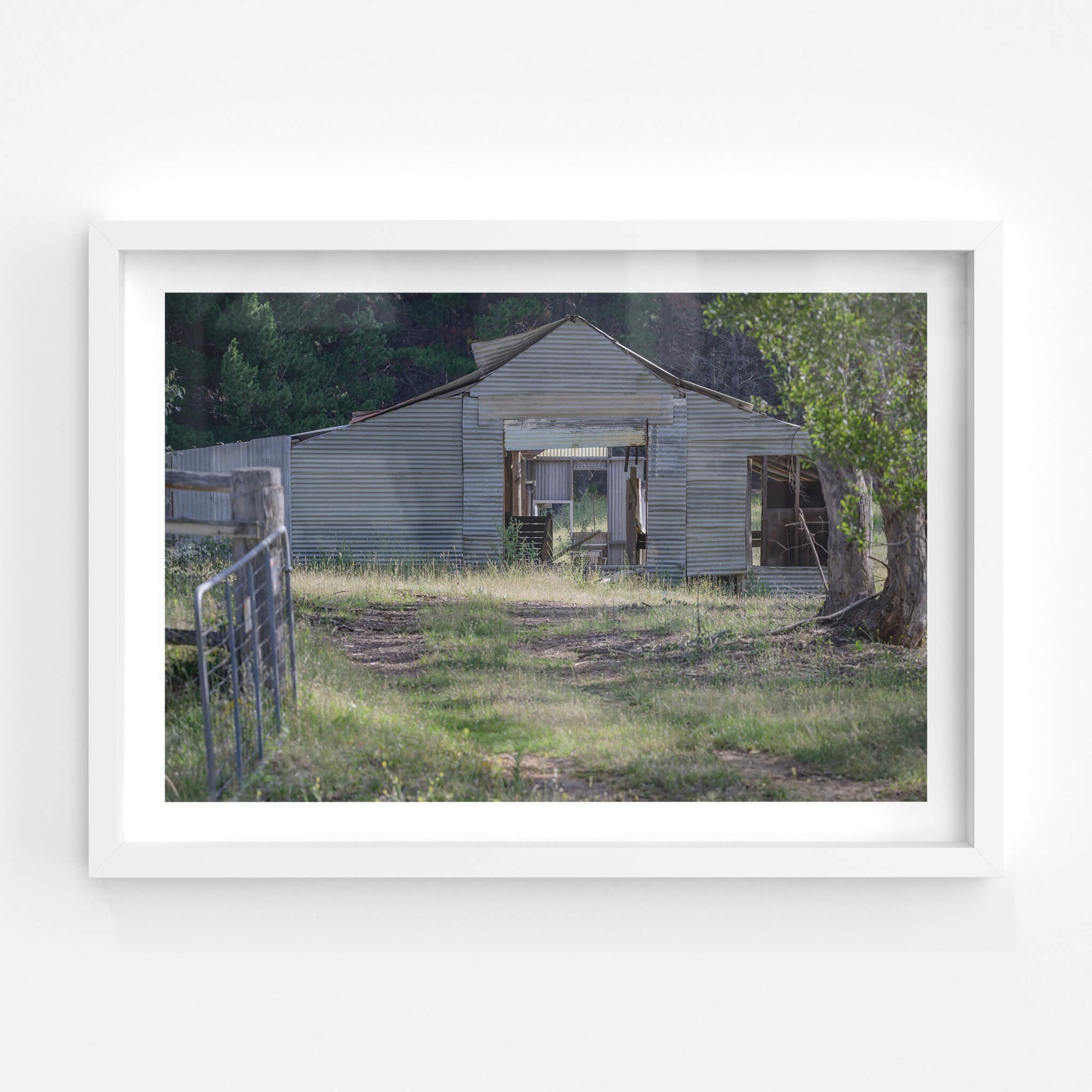 Deddick Valley Ruined Shed | The Woolshed