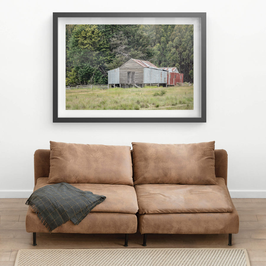 Delegate River at The Woolshed, a timber woolshed set before a lush forest background.