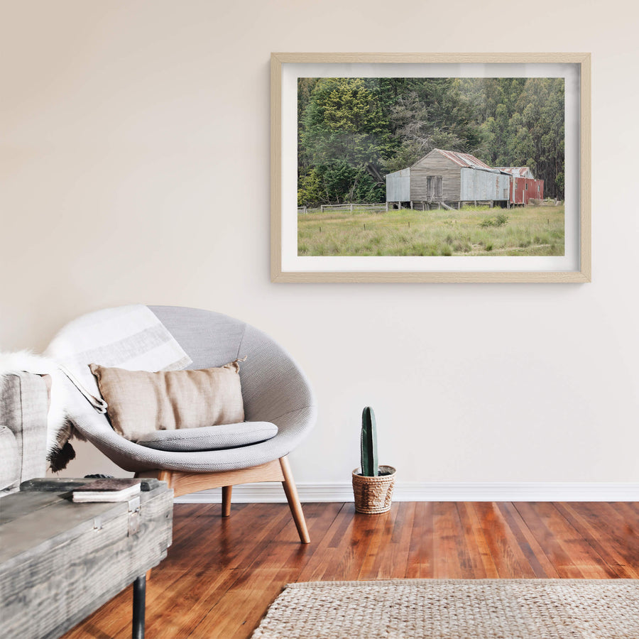 Delegate River at The Woolshed, a timber woolshed set before a lush forest background.