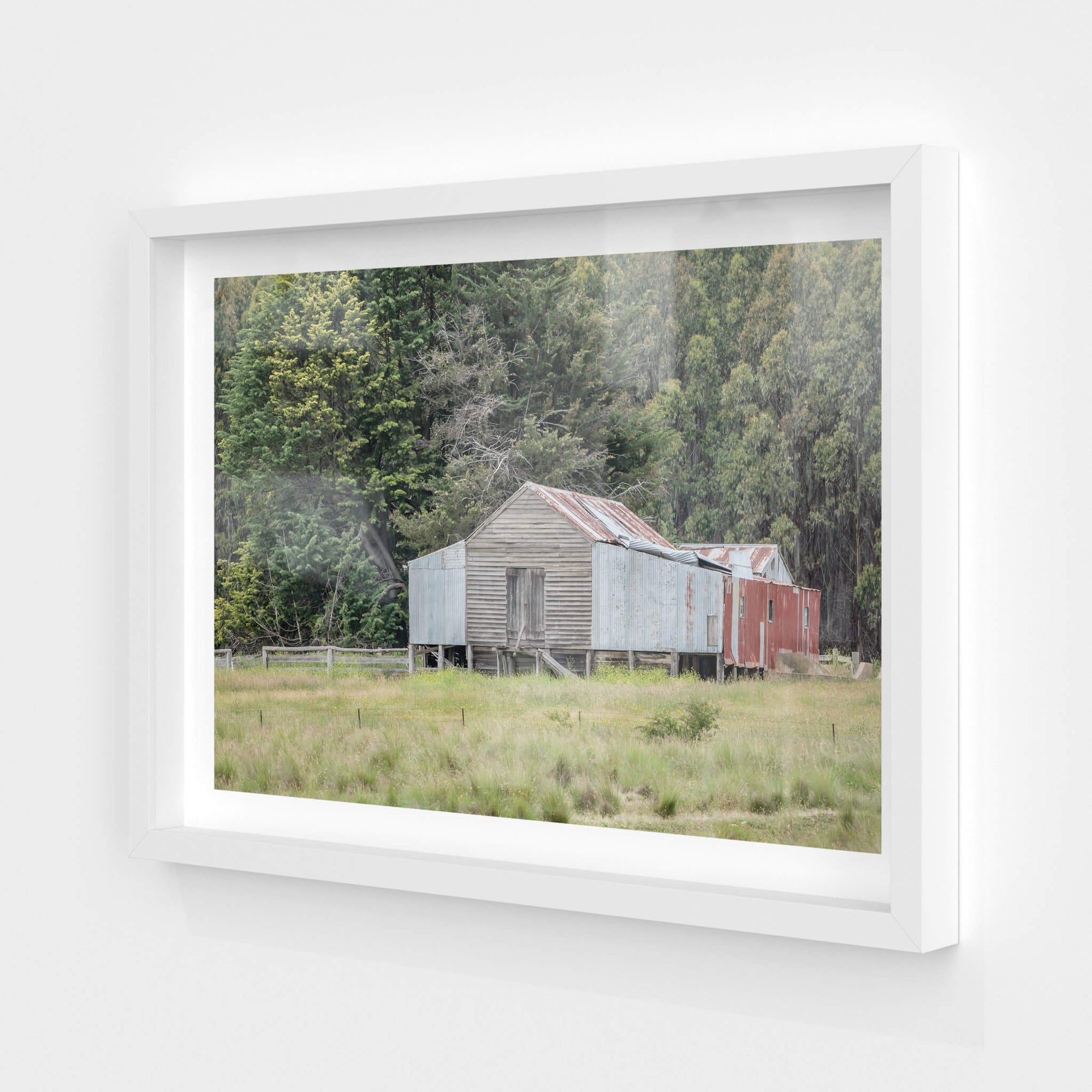 Delegate River | The Woolshed Fine Art Print - Lost Collective Shop