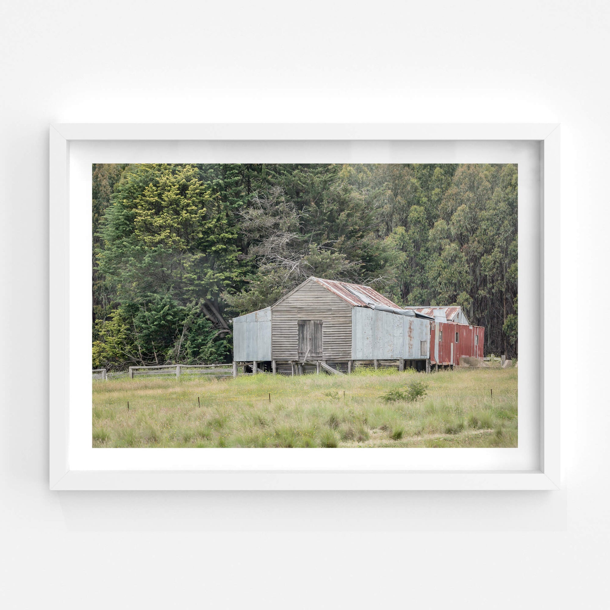 Delegate River | The Woolshed Fine Art Print - Lost Collective Shop