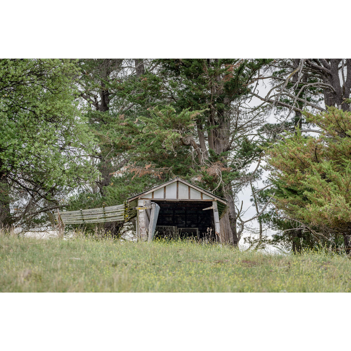 Hilltop Shed | The Woolshed