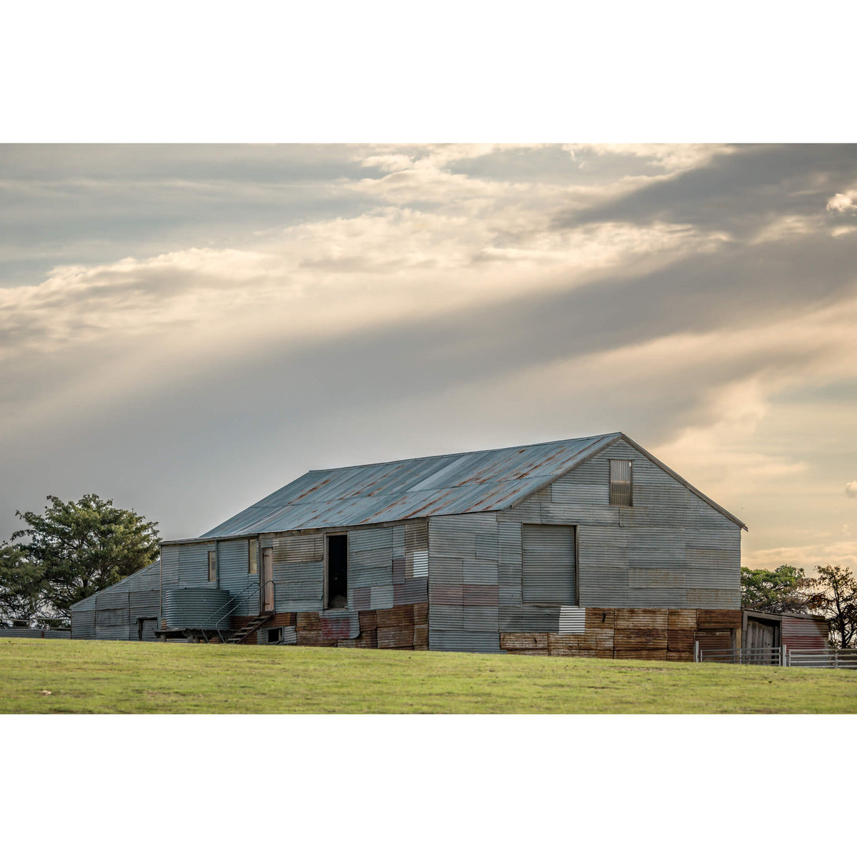 Ironmungie Road Woolshed | The Woolshed Fine Art Print - Lost Collective Shop