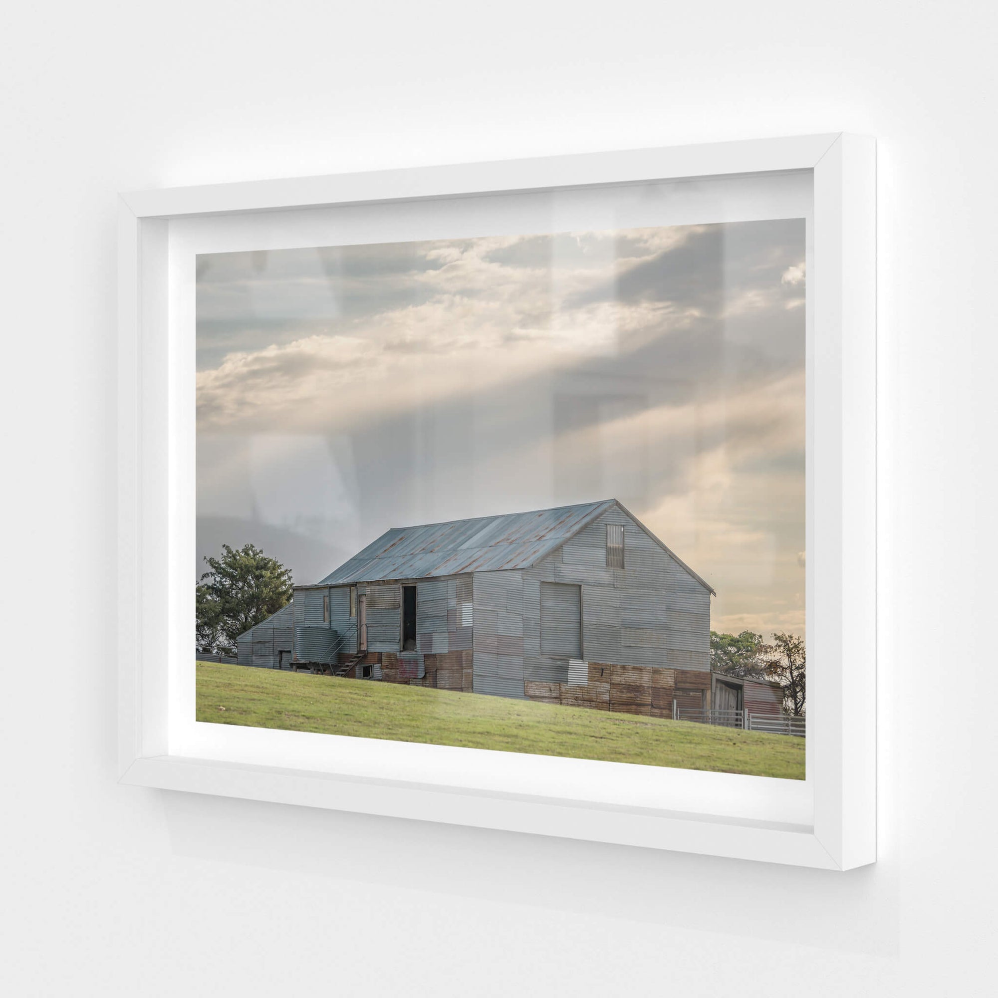 Ironmungie Road Woolshed | The Woolshed Fine Art Print - Lost Collective Shop