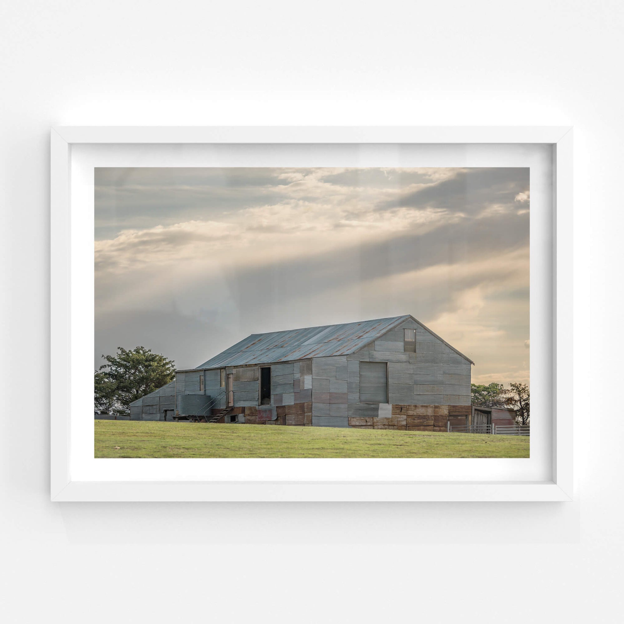 Ironmungie Road Woolshed | The Woolshed Fine Art Print - Lost Collective Shop