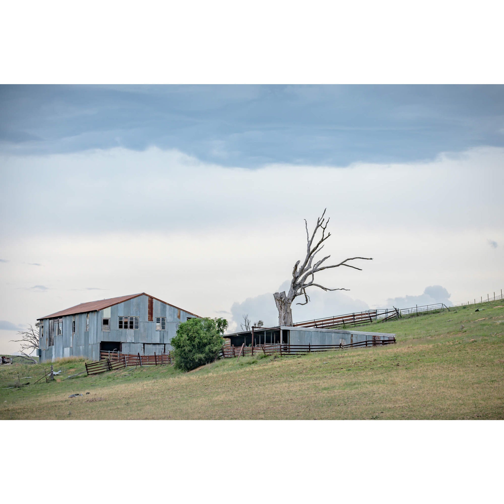 Jimenbuen Woolshed | The Woolshed Fine Art Print - Lost Collective Shop