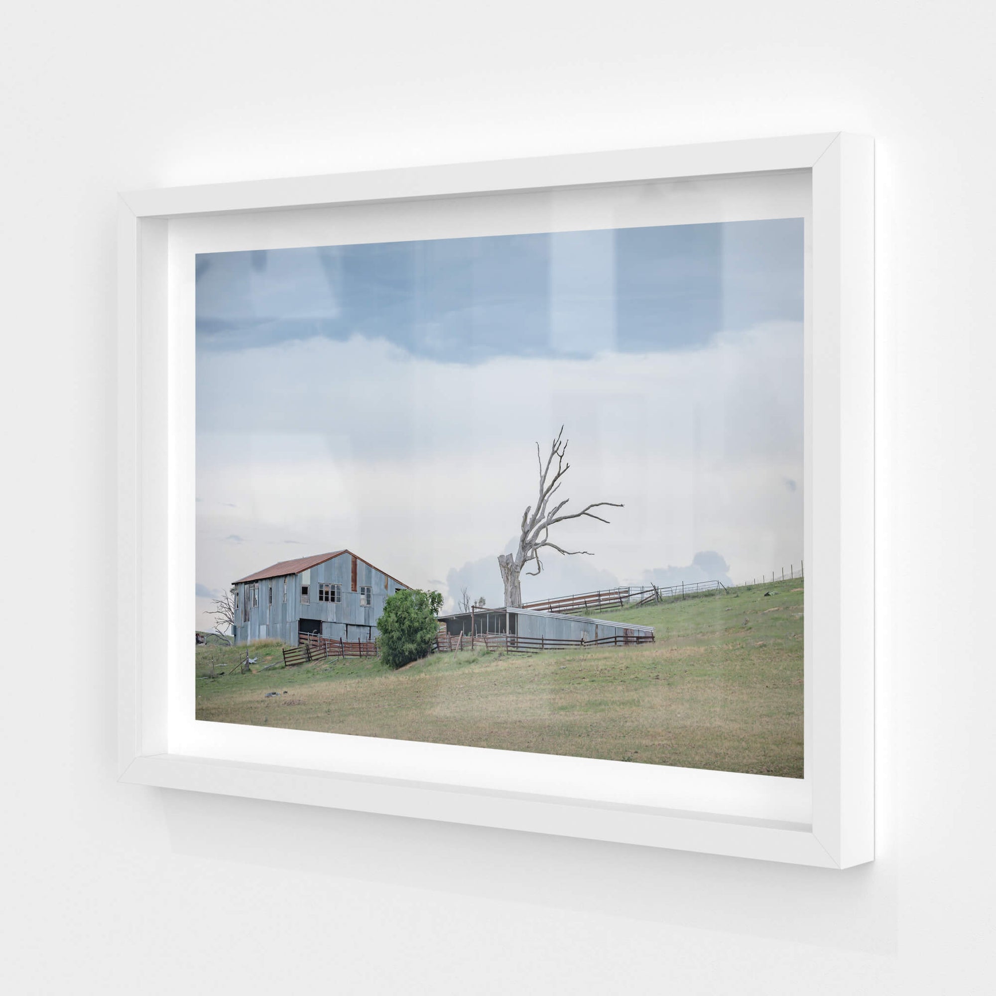 Jimenbuen Woolshed | The Woolshed Fine Art Print - Lost Collective Shop