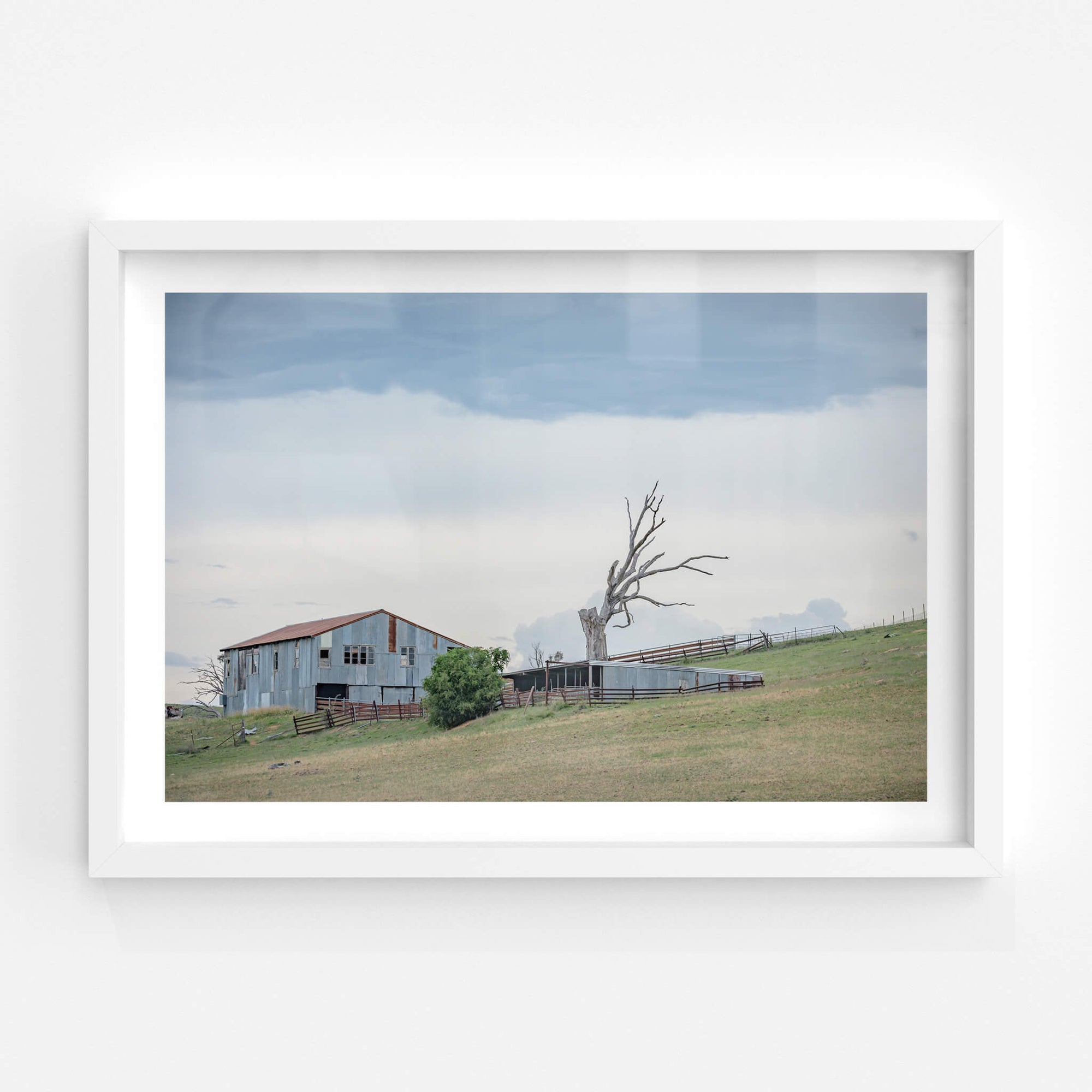 Jimenbuen Woolshed | The Woolshed Fine Art Print - Lost Collective Shop