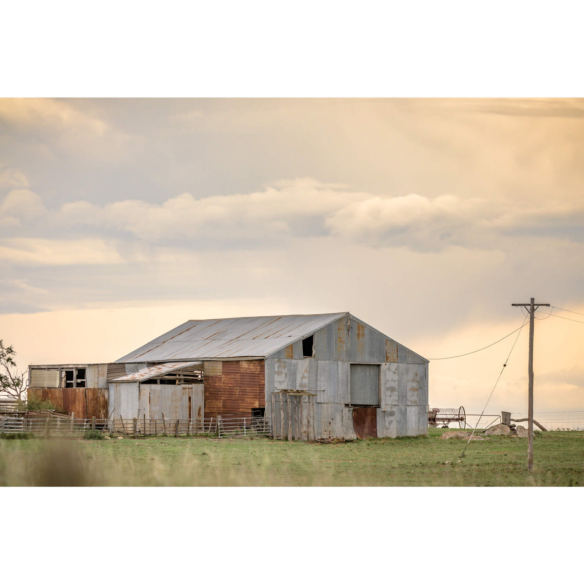 Maffra Woolshed | The Woolshed Fine Art Print - Lost Collective Shop