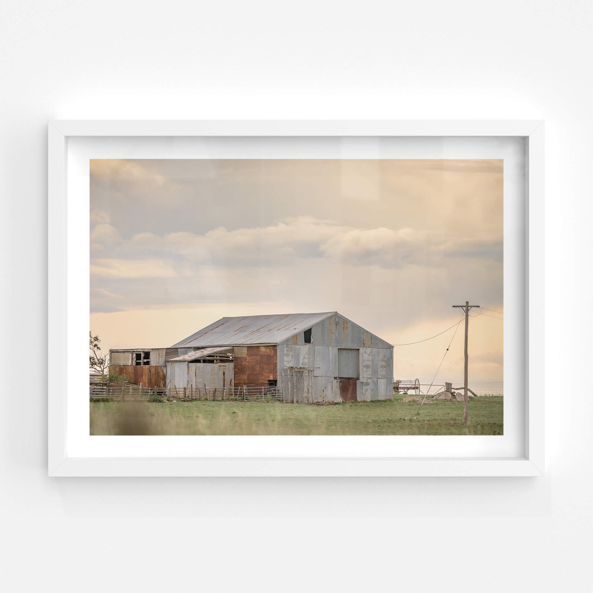 Maffra Woolshed | The Woolshed Fine Art Print - Lost Collective Shop