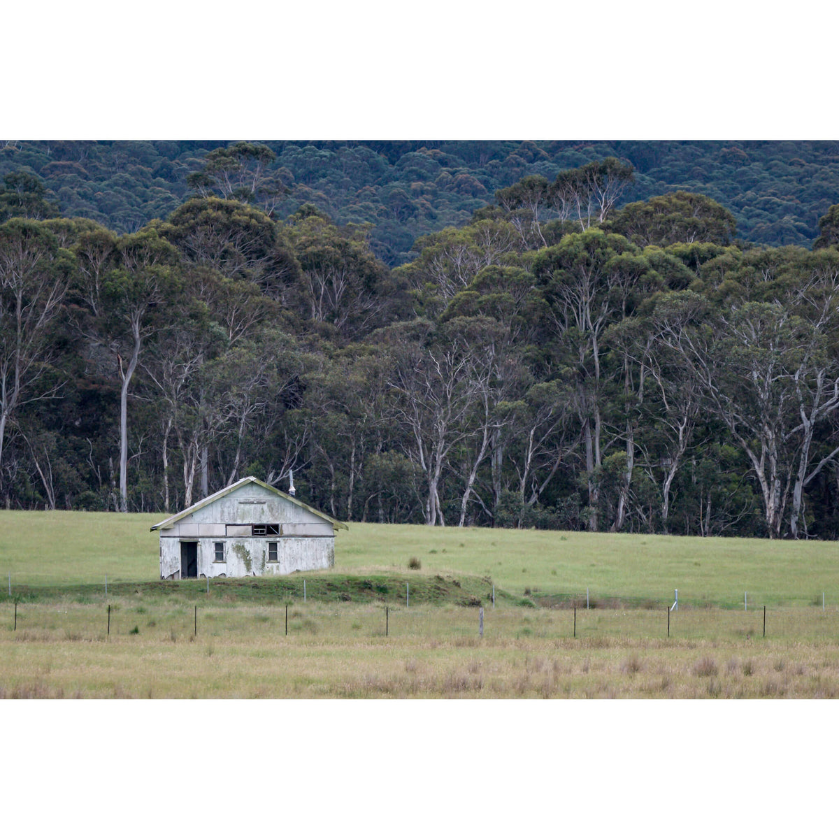 Nimmitabel Shed | The Woolshed