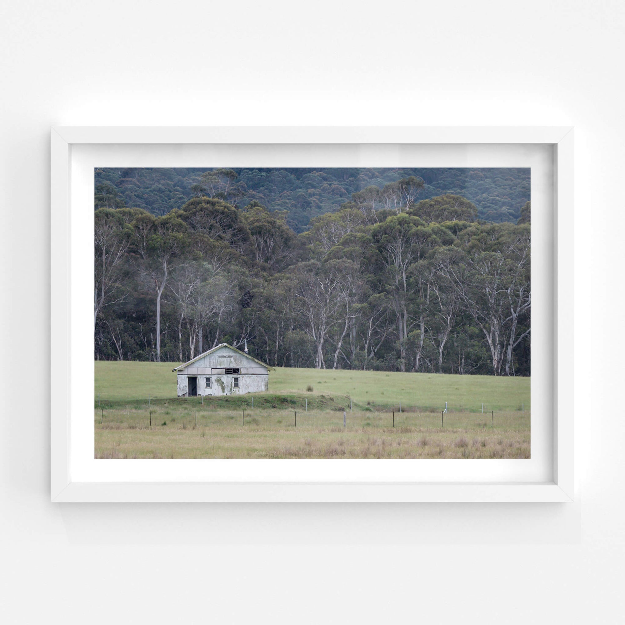 Nimmitabel Shed | The Woolshed