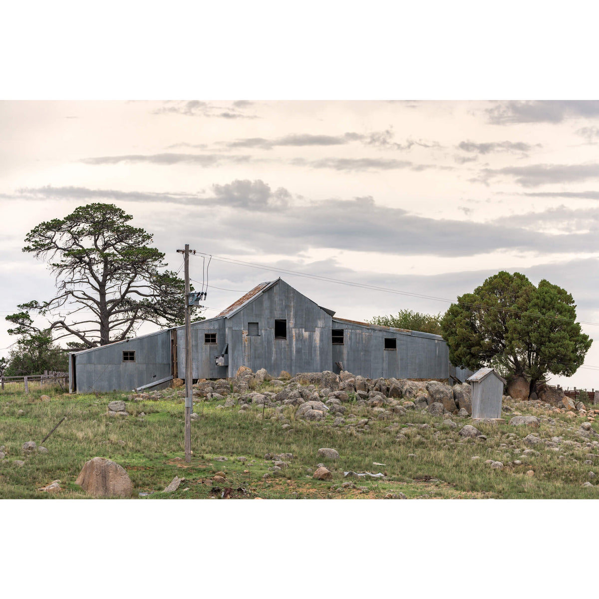 Numbla Vale Woolshed | The Woolshed Fine Art Print - Lost Collective Shop