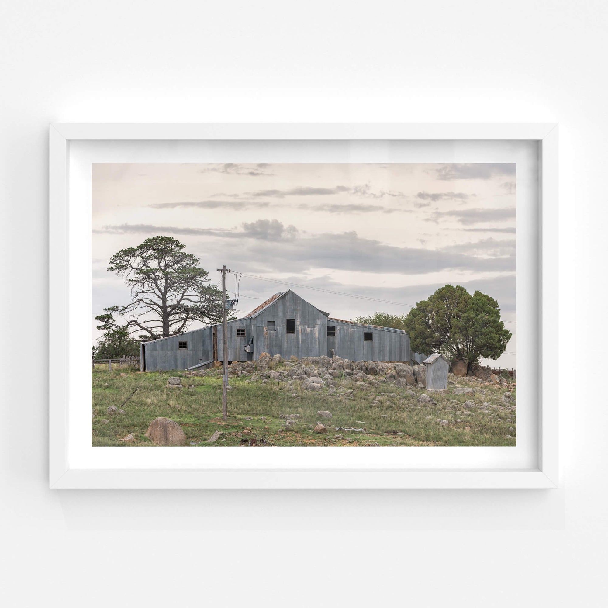 Numbla Vale Woolshed | The Woolshed Fine Art Print - Lost Collective Shop