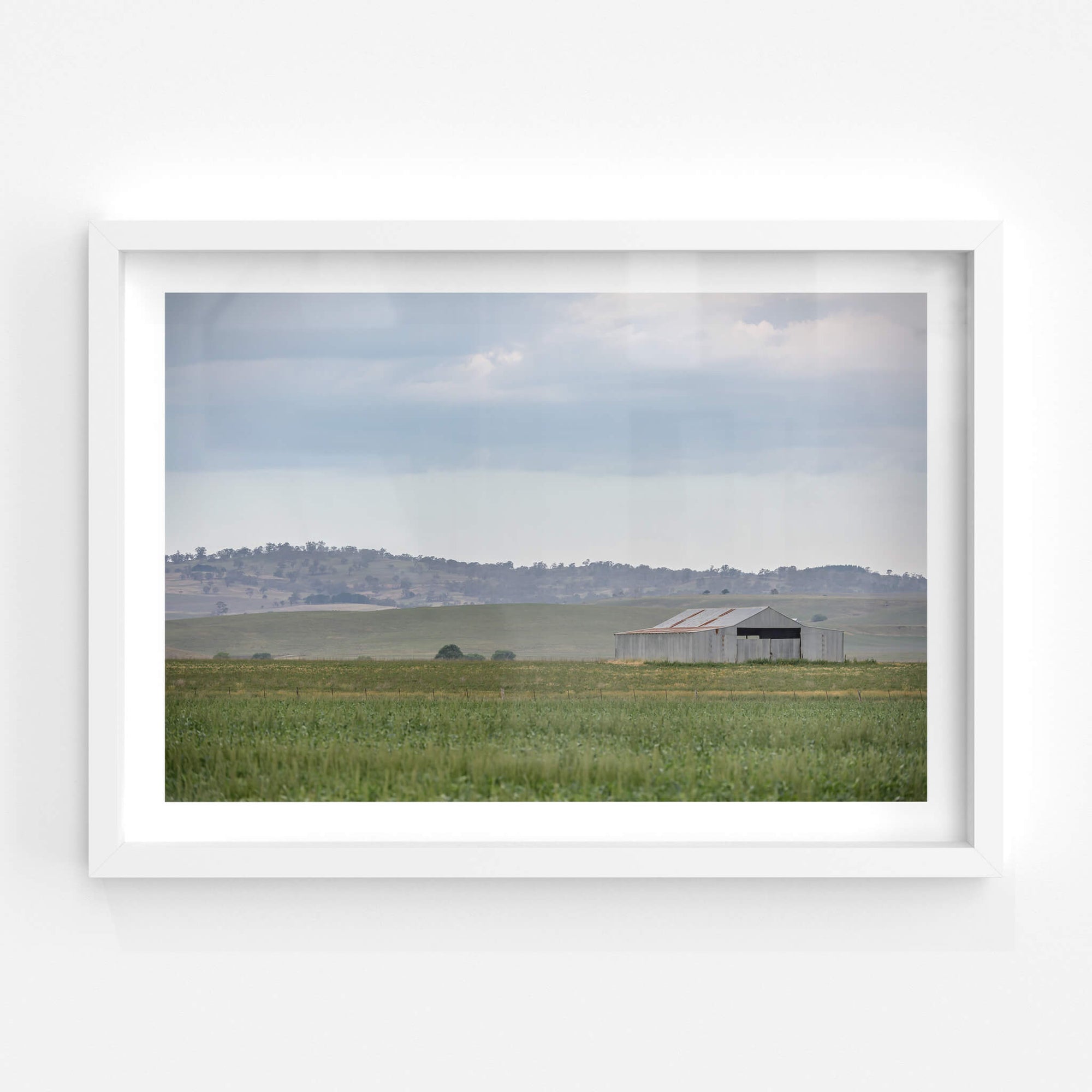 Shed In The Field | The Woolshed