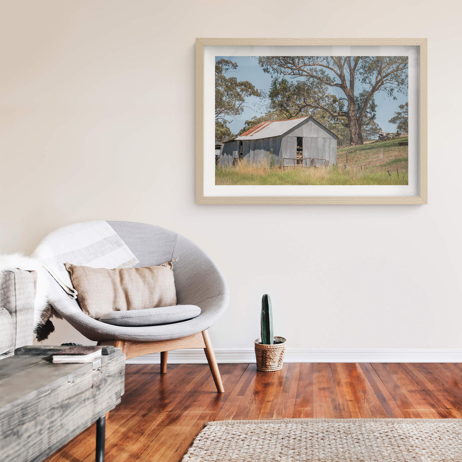 Simple Shed at The Woolshed, corrugated iron walls sit grey and weathered against a gentle slope of dry grass.