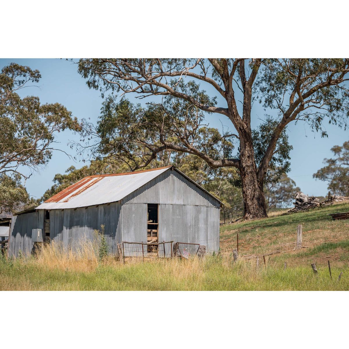 Simple Shed | The Woolshed