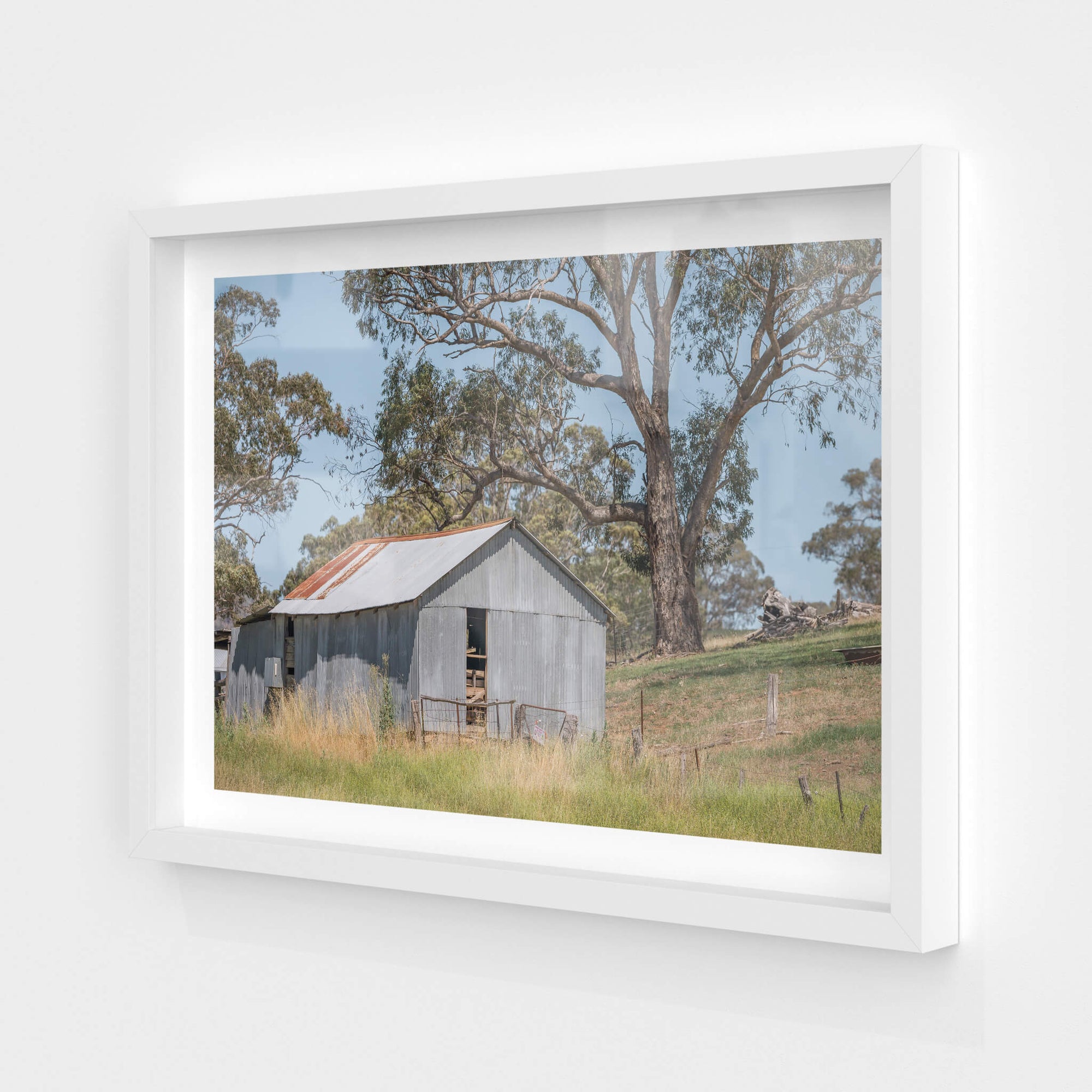 Simple Shed | The Woolshed