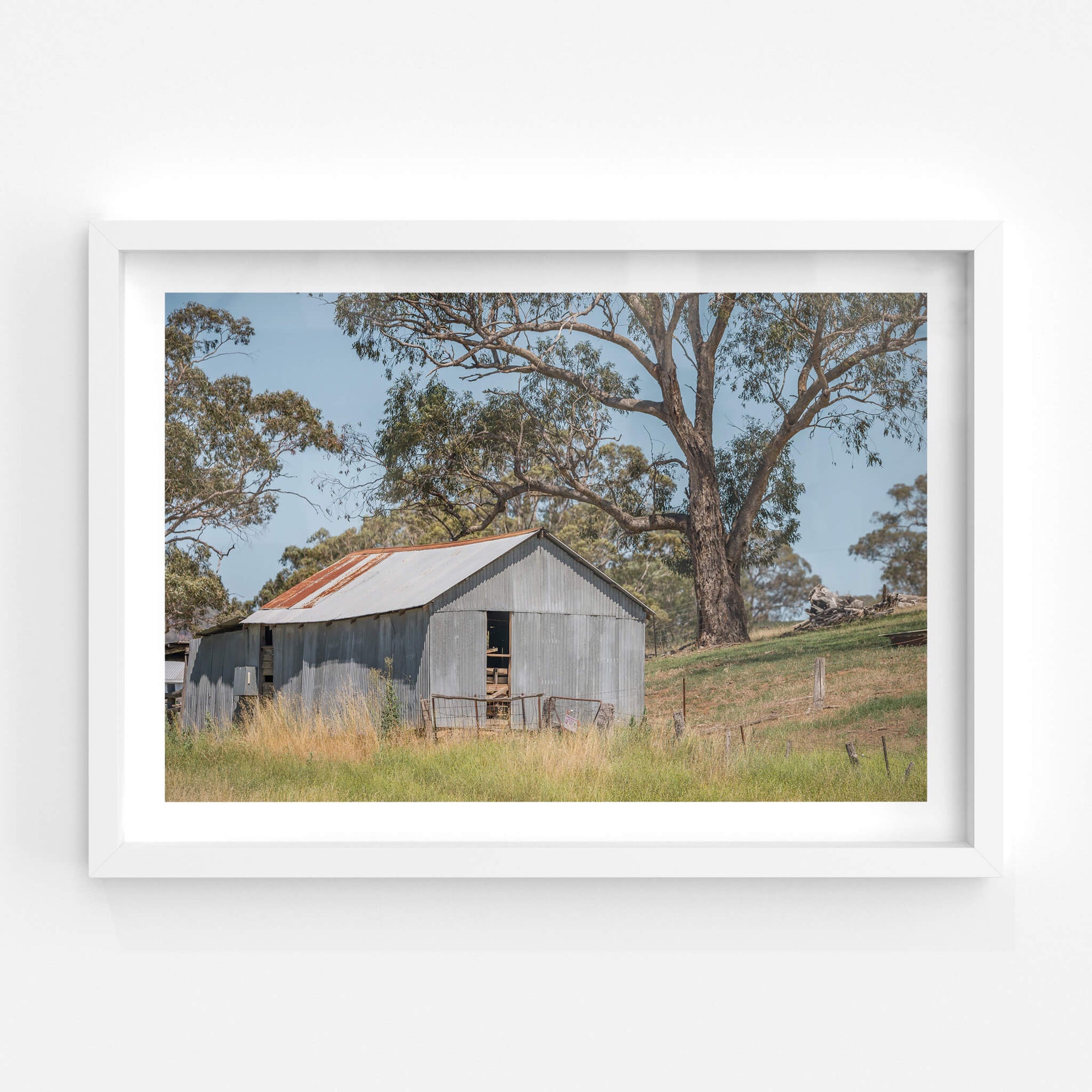 Simple Shed | The Woolshed