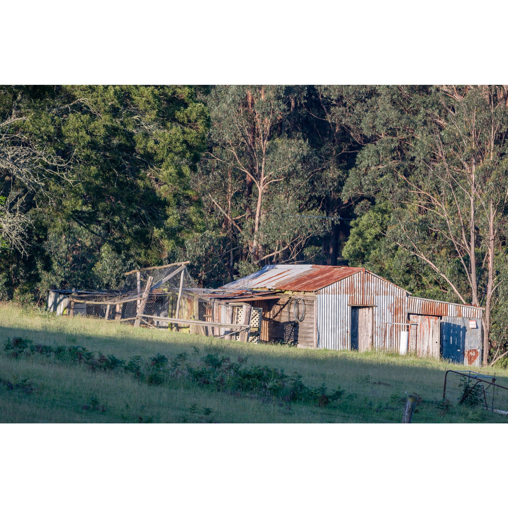 South Pambula Shed | The Woolshed