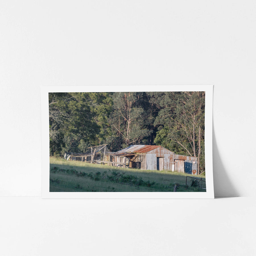 South Pambula Shed at The Woolshed, corrugated iron and weatherboard hold together in a patchwork of repairs and additions.