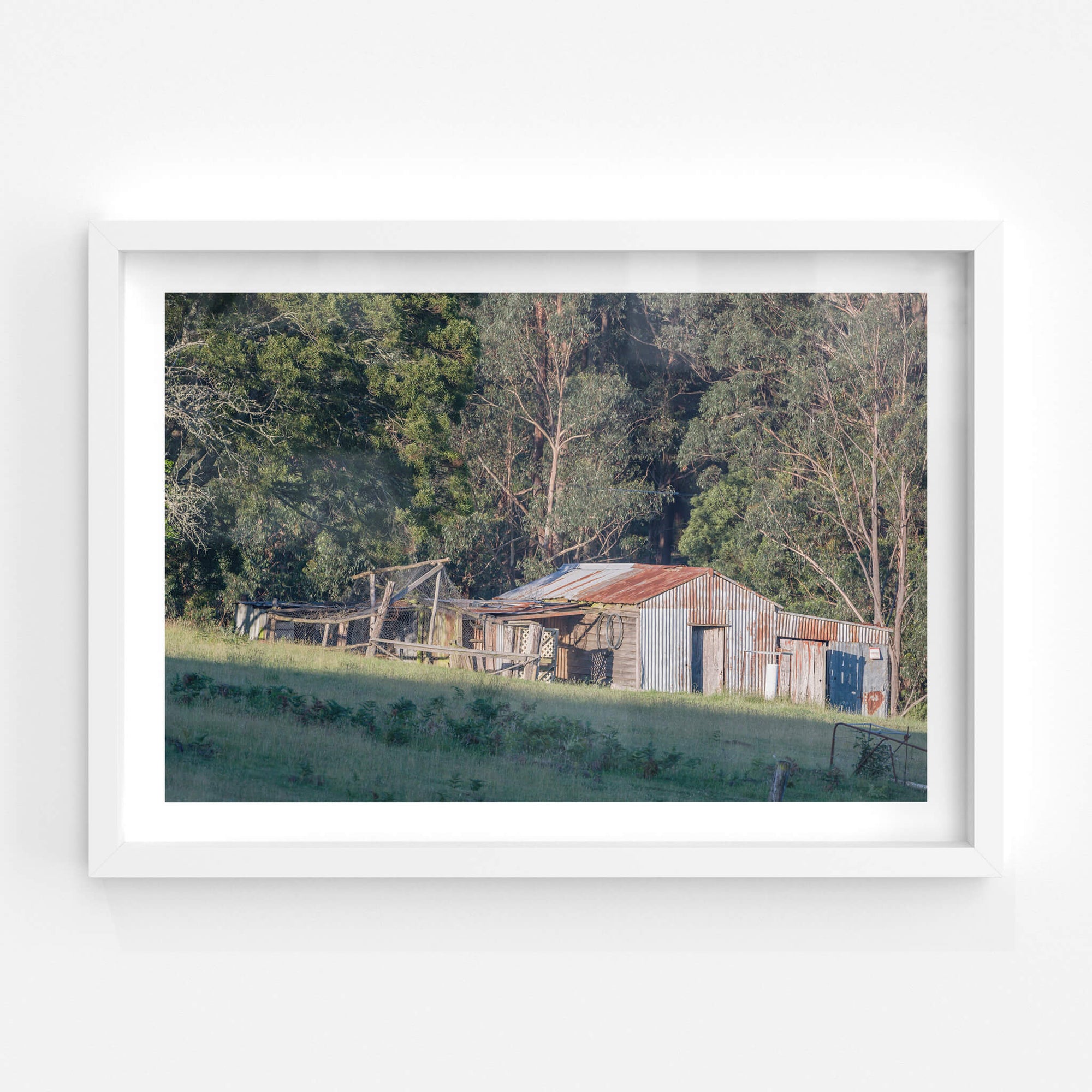 South Pambula Shed | The Woolshed