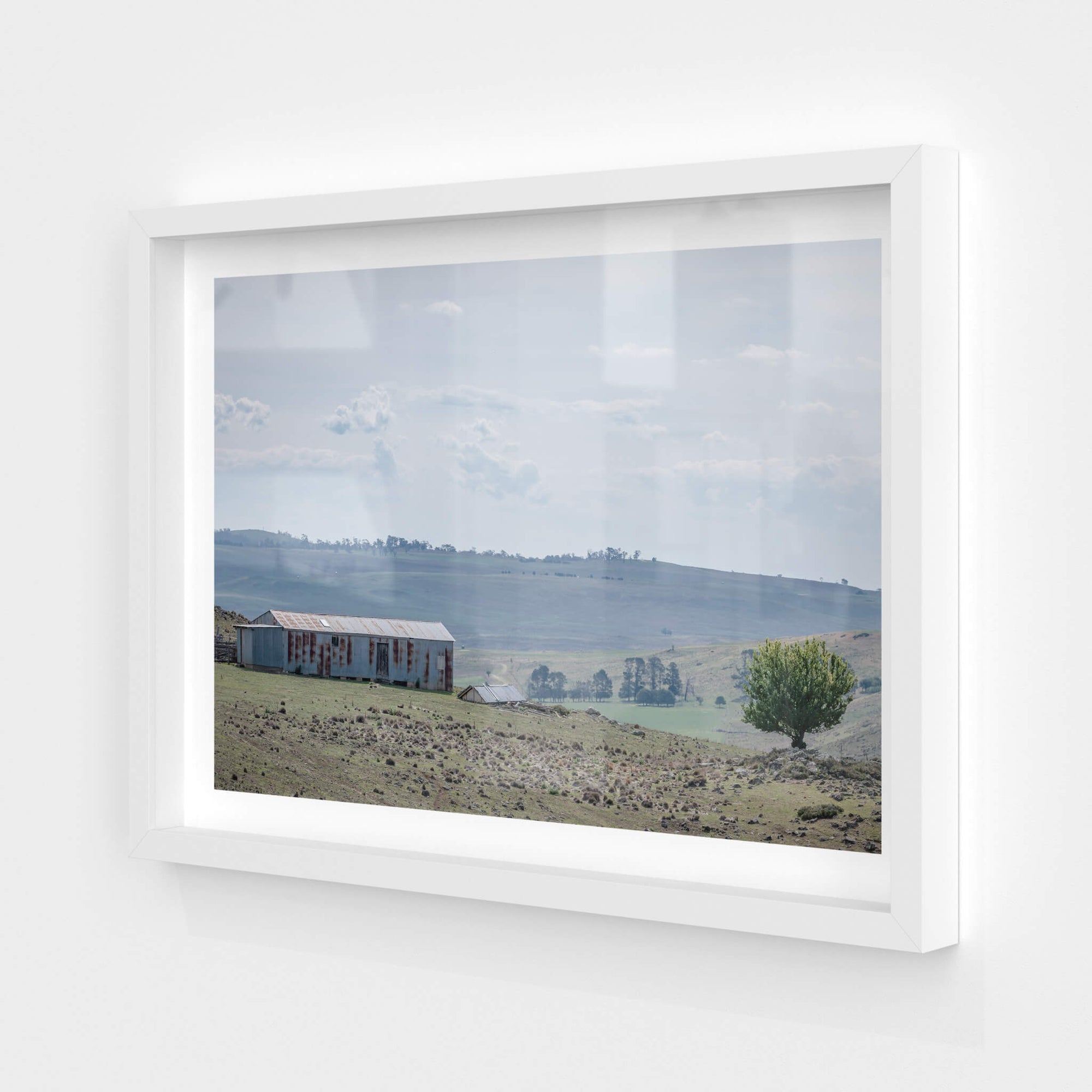 Springvale Woolshed | The Woolshed Fine Art Print - Lost Collective Shop