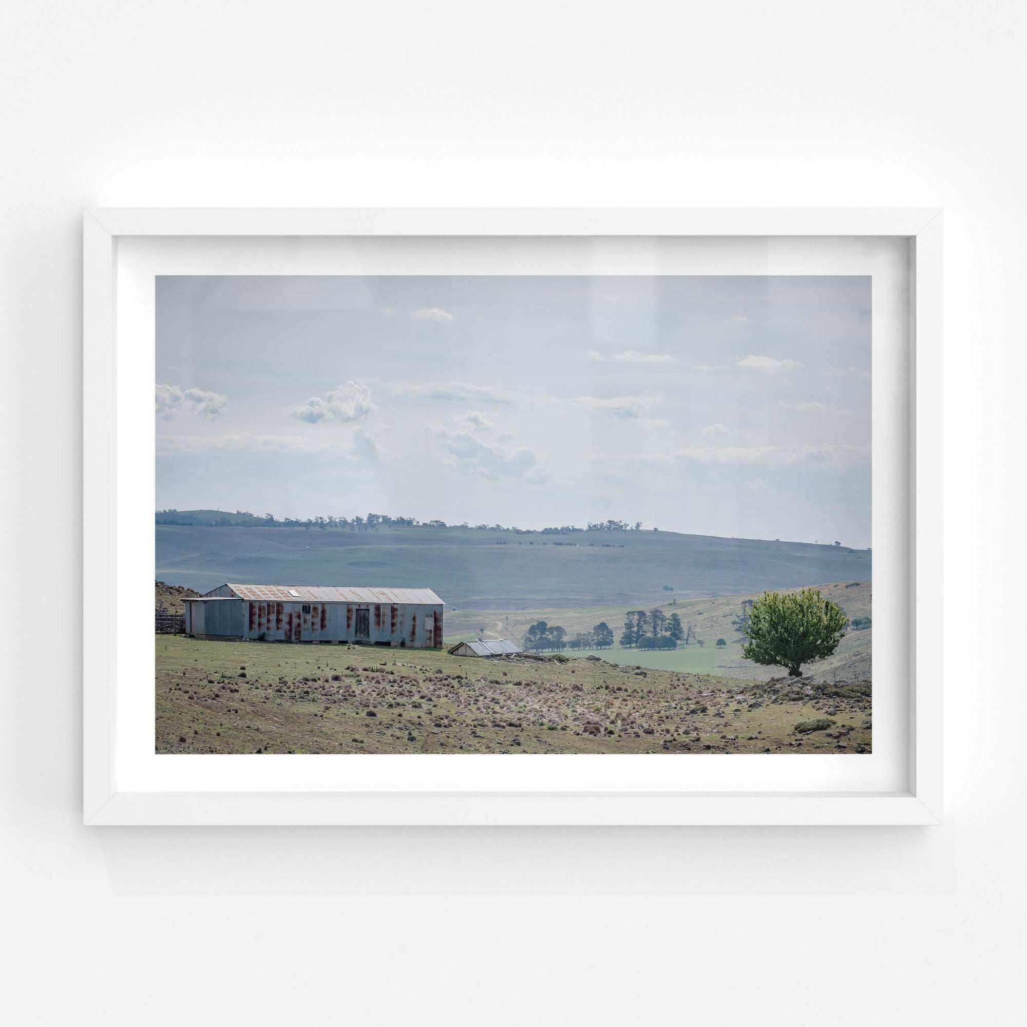 Springvale Woolshed | The Woolshed Fine Art Print - Lost Collective Shop