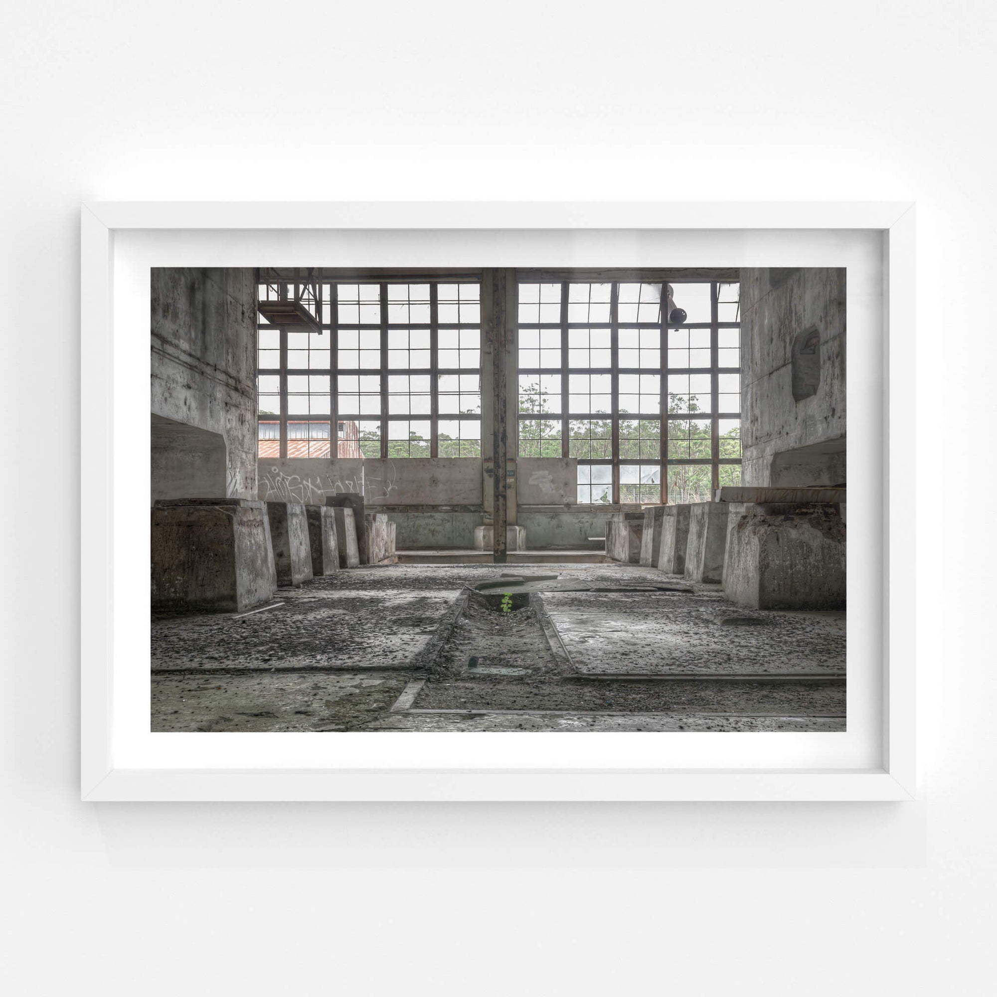 Nature Always Finds a Way | Wangi Power Station Fine Art Print - Lost Collective Shop