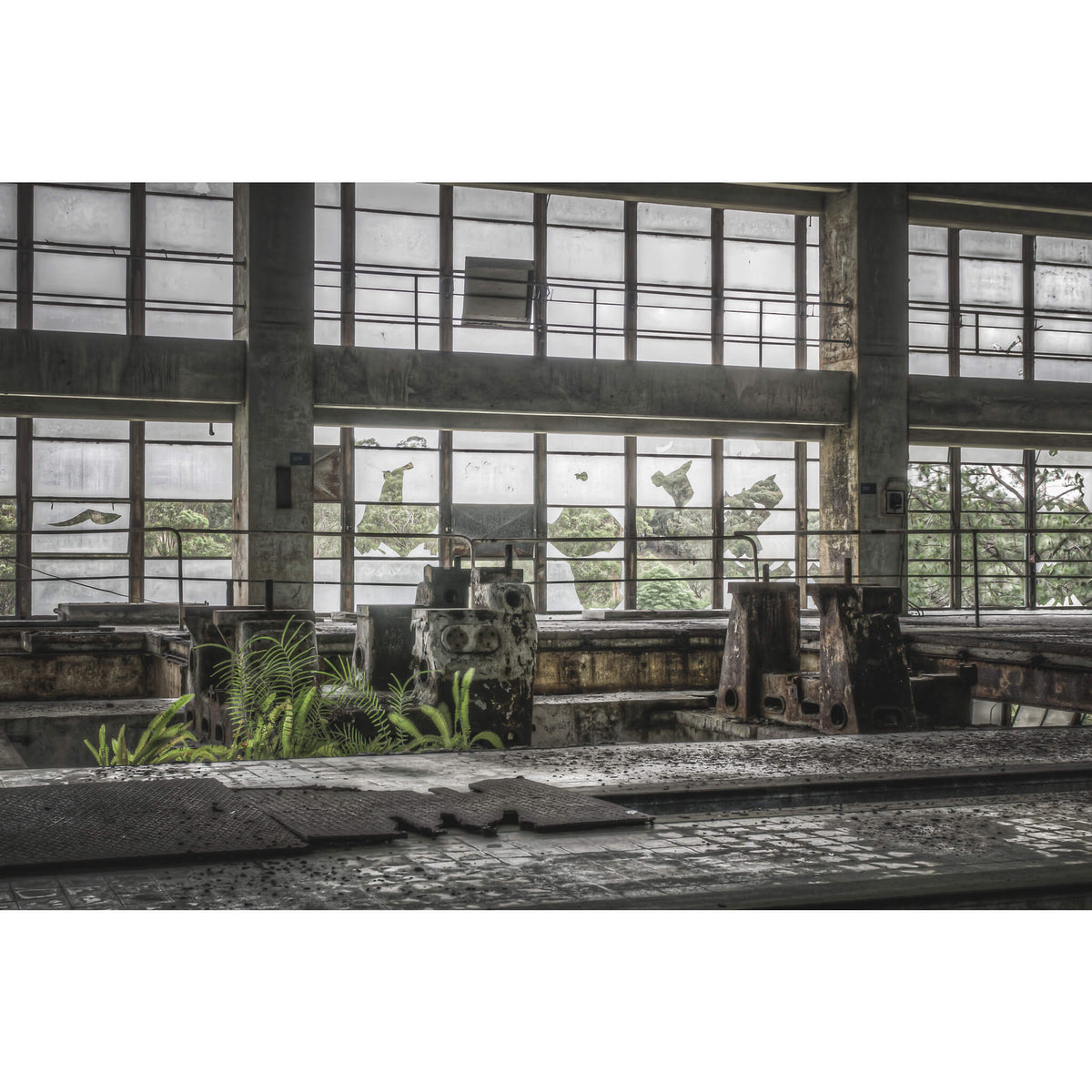 Pedestal Looking Out Towards Switch Yard | Wangi Power Station Fine Art Print - Lost Collective Shop