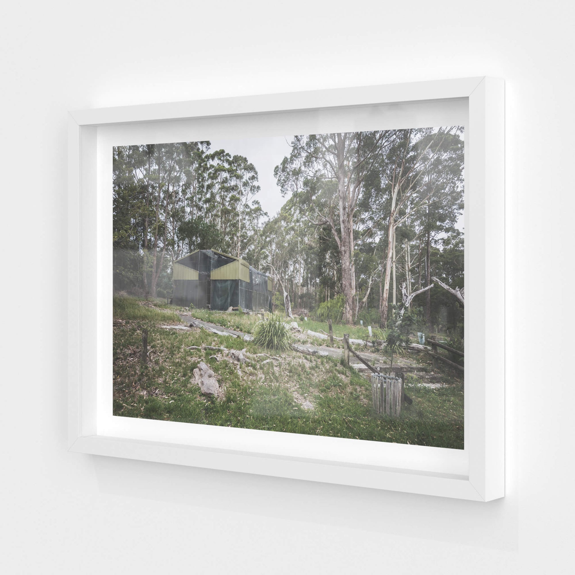 Aviary | Waratah Park