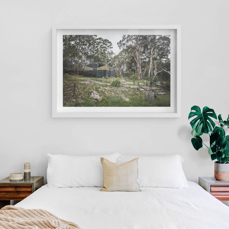 white frame