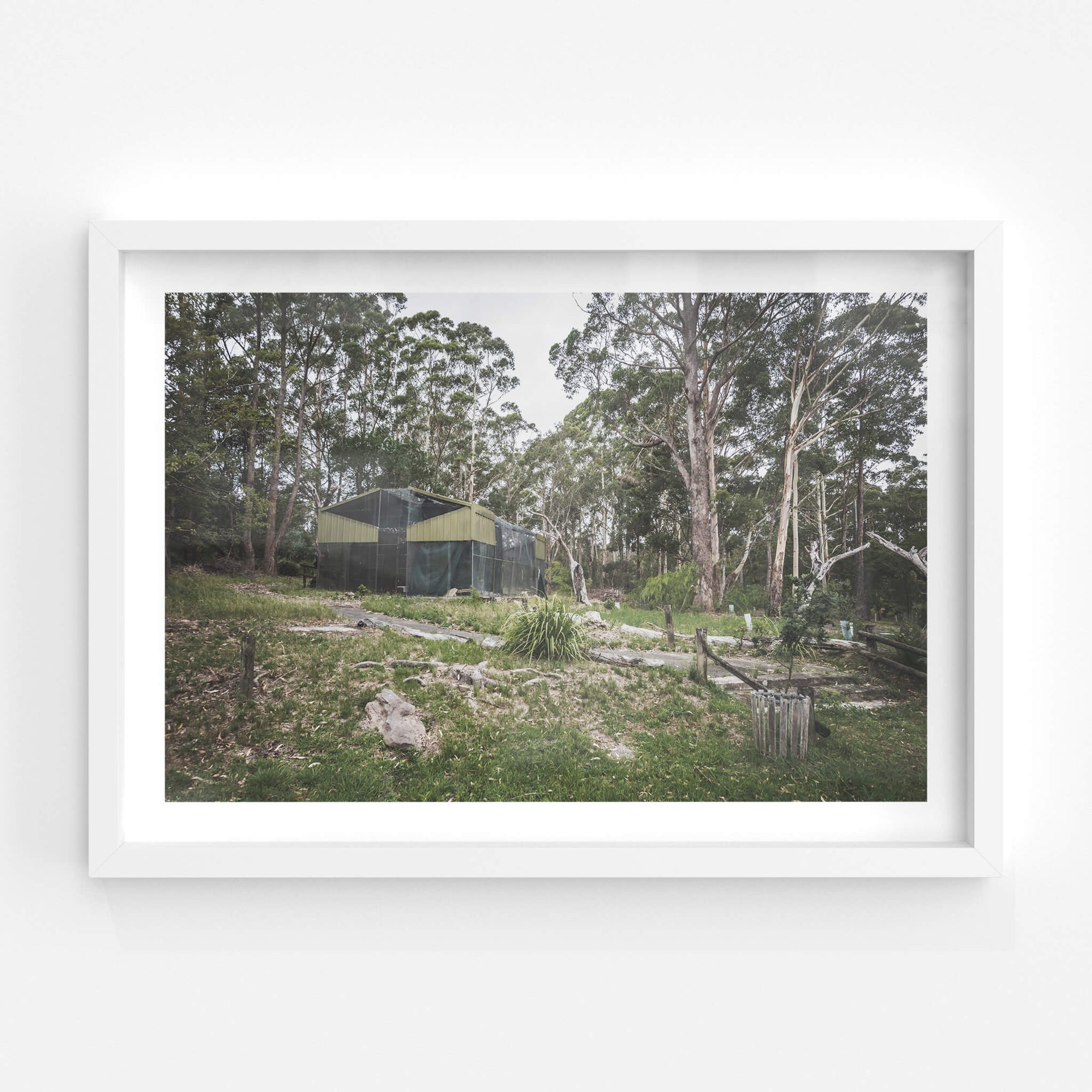 Aviary | Waratah Park