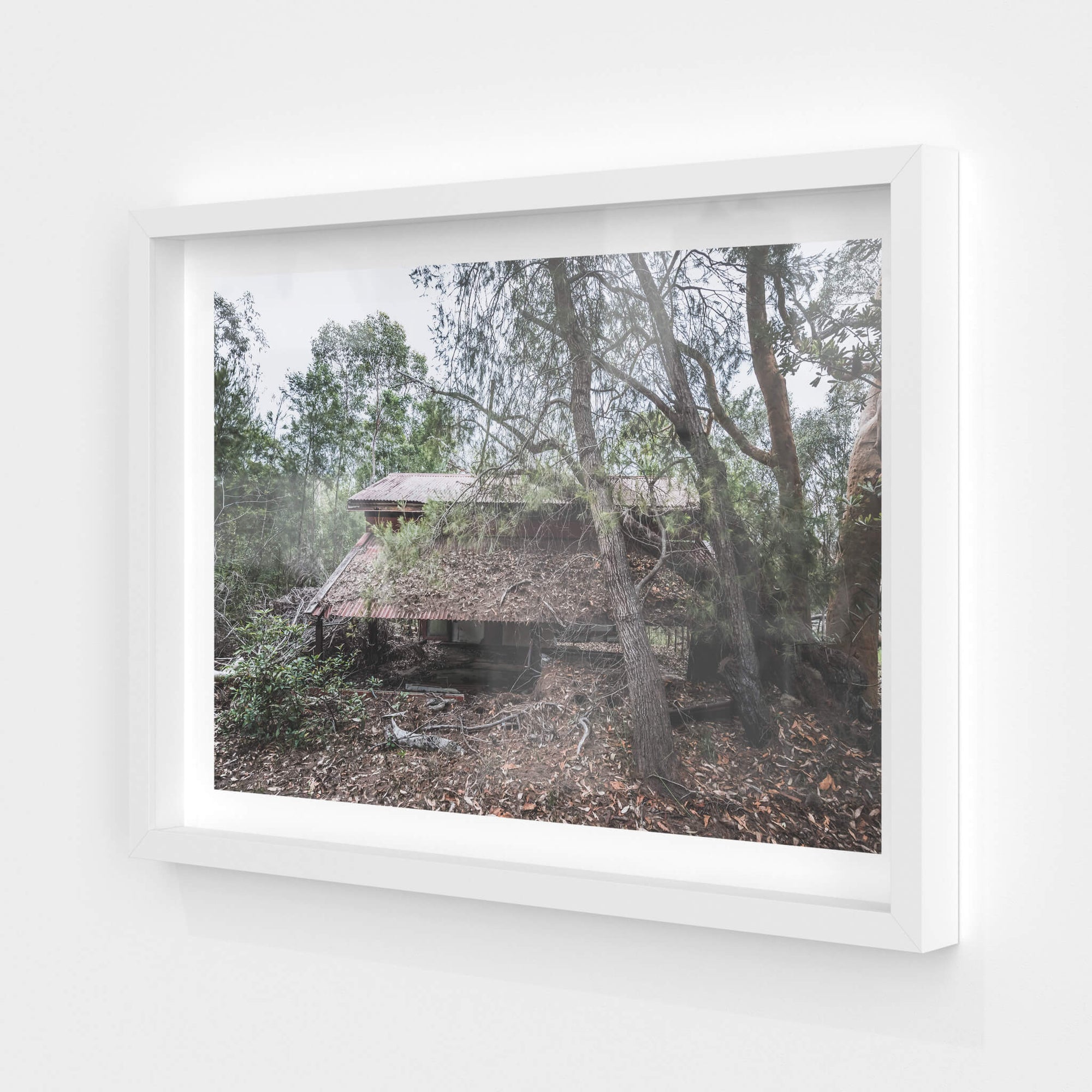 Depot Roof | Waratah Park Fine Art Print - Lost Collective Shop