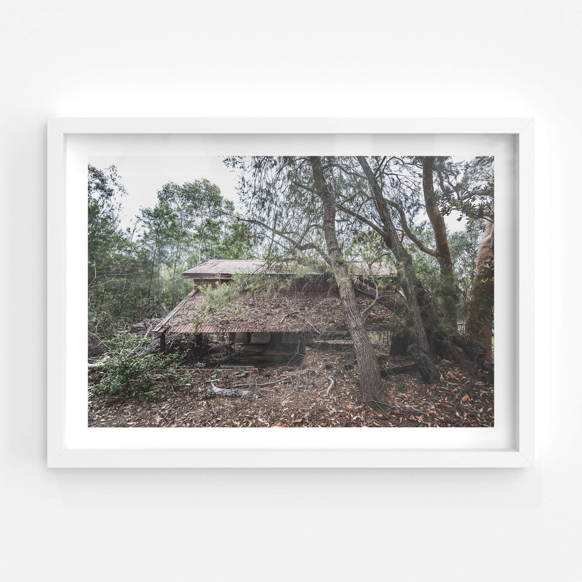 Depot Roof | Waratah Park Fine Art Print - Lost Collective Shop