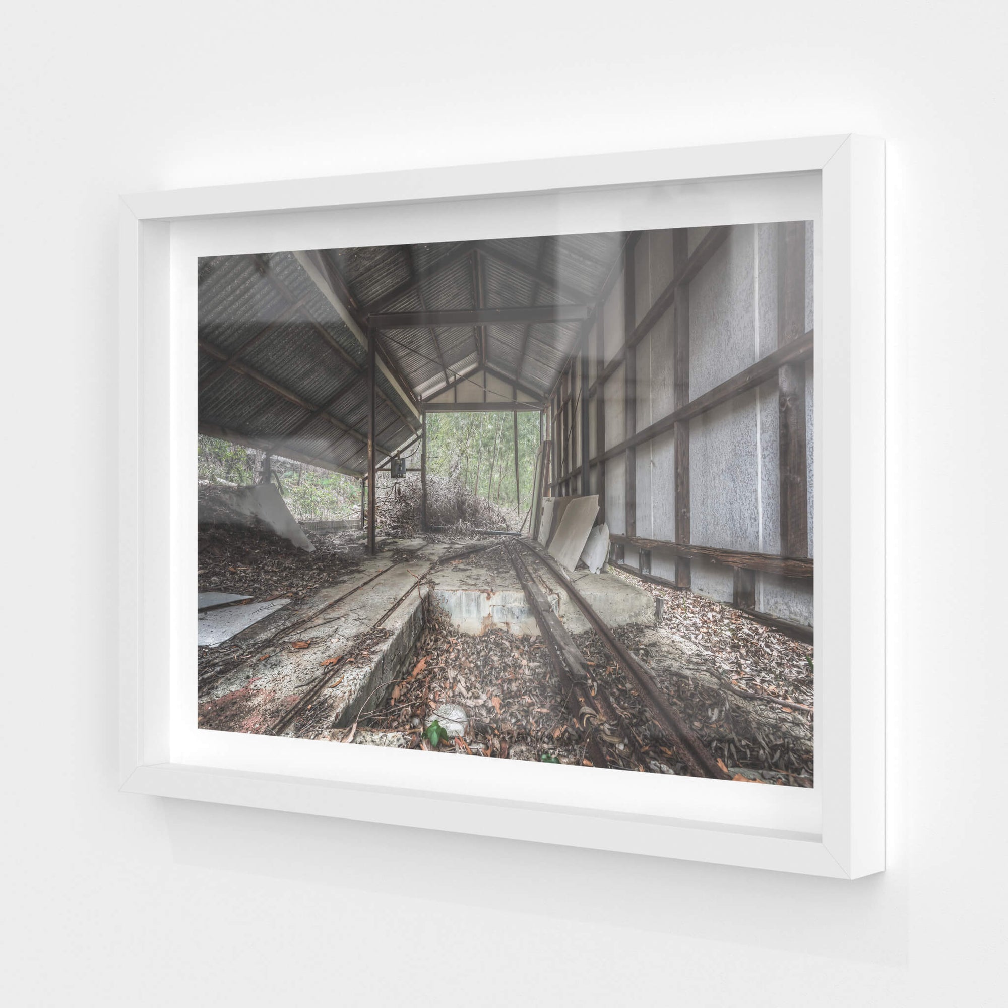 Depot | Waratah Park Fine Art Print - Lost Collective Shop