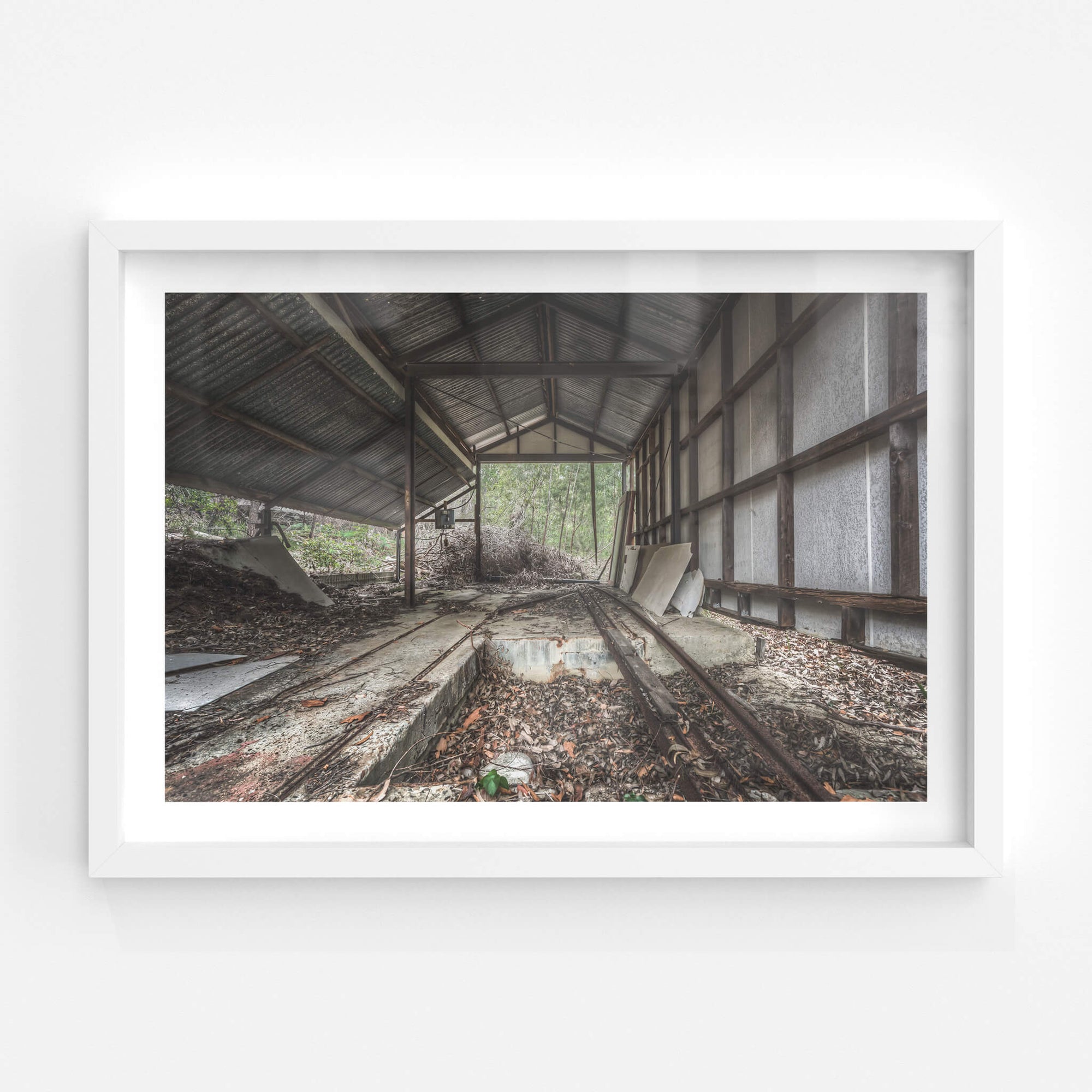 Depot | Waratah Park Fine Art Print - Lost Collective Shop